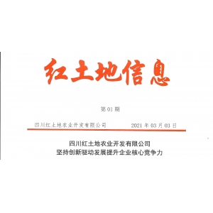 【红土地信息01期】坚持创新驱动发展提升企业核心竞争力